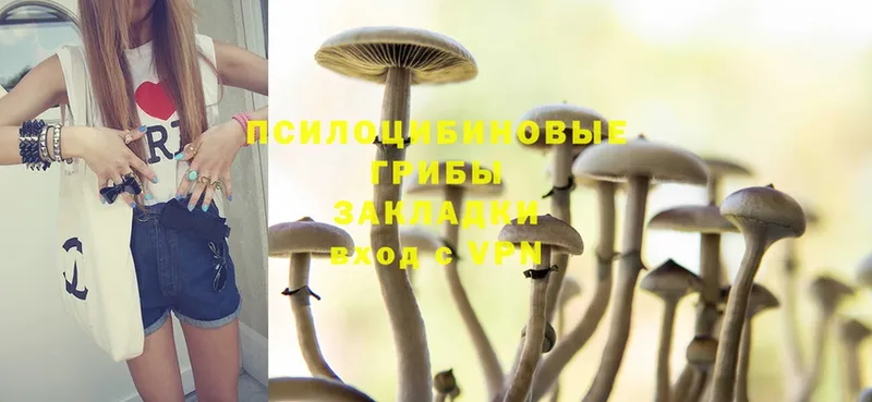 Галлюциногенные грибы Psilocybine cubensis  Серов 